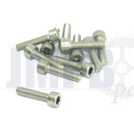 Allen bolt M8X30 SS Ding 931