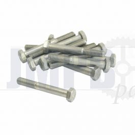 Hex bolt M8X55 SS Din 931