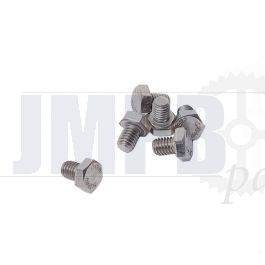 Hex bolt M6X8 SS Din 933