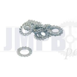 M6 Lock washer Galvanized Din 6797A