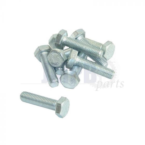 Hex bolt M10X40 Galvanized Din 933