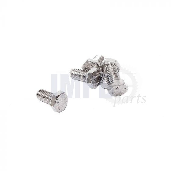 Hex bolt M6X12 SS Din 933