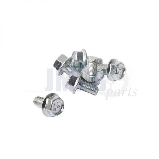 Flange bolt Galvanized Toothed M6X12 Din 6921