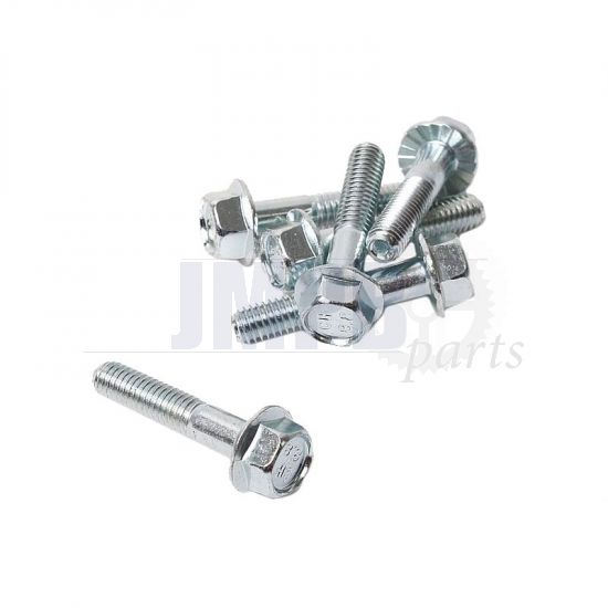 Flange bolt Galvanized Toothed M6X30 Din 6921