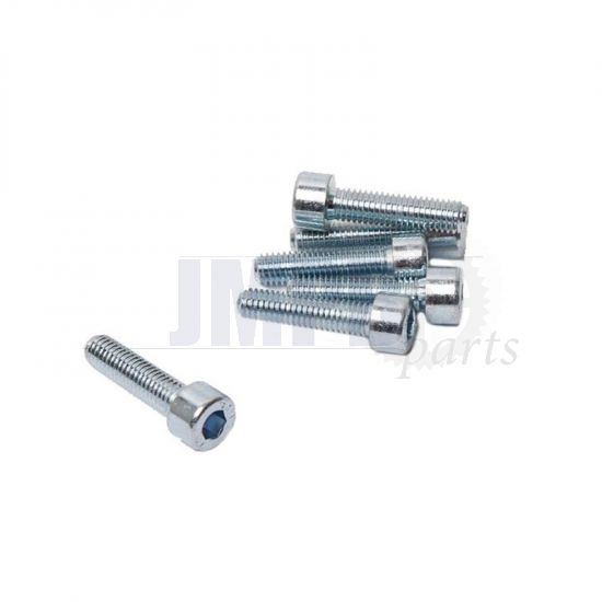 Allen bolt M5X20 Galvanized Din 912