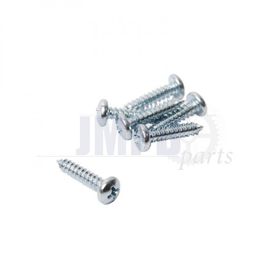 Plate Screw Galvanized 4.2 X 19 Din 7981