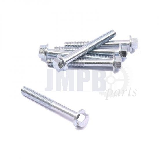 Flange bolt Galvanized M6X45 SW8