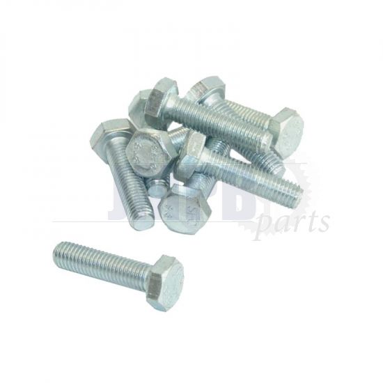 Hex bolt M10X45 Galvanized Din 931