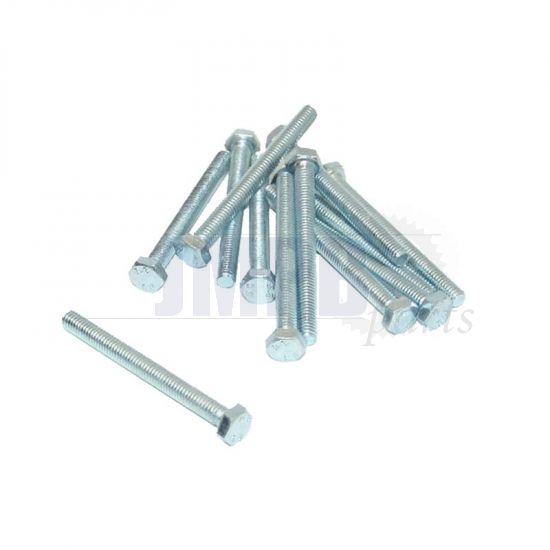 Hex bolt M6X70 Galvanized Din 933